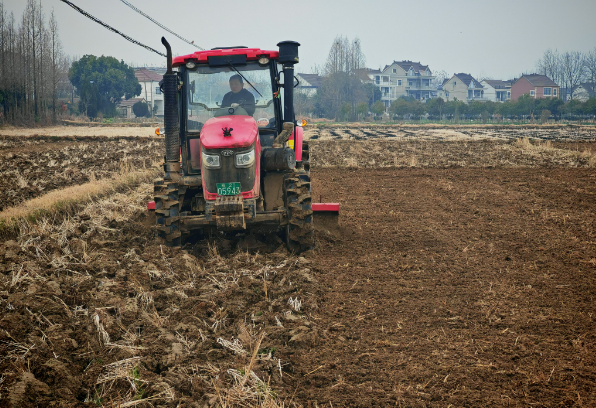 城區(qū)煙站春節(jié)后春耕忙，起壟施肥育苗旺