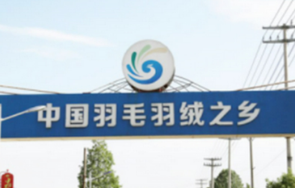 “中國羽毛羽絨之鄉(xiāng)”安徽無為：羽毛輕輕產業(yè)重