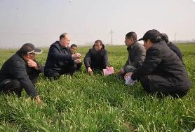 農(nóng)業(yè)農(nóng)村部開展春管春耕調(diào)研指導