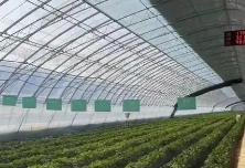 智慧農(nóng)業(yè)作引擎 設(shè)施大棚增收入