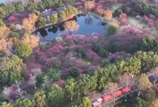 春日經(jīng)濟(jì)不斷升溫 錯(cuò)峰出游、賞花游成為新選擇