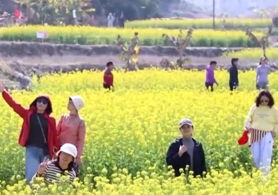 “賞花經(jīng)濟(jì)”帶動(dòng)文旅市場(chǎng)春潮涌動(dòng) 為城鄉(xiāng)消費(fèi)注入蓬勃?jiǎng)幽?></a></div><!-- img end -->	<div   id=