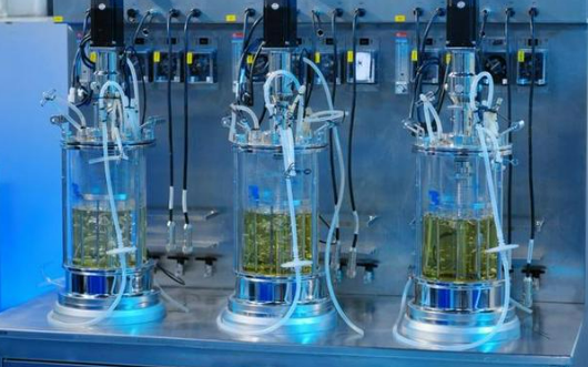 化妝品原料又迎重磅政策利好 中國(guó)特色植物原料引領(lǐng)潮流