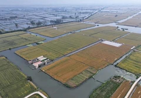 守好生態(tài)“財(cái)富”，江蘇興化打造新時(shí)代“魚米之鄉(xiāng)”