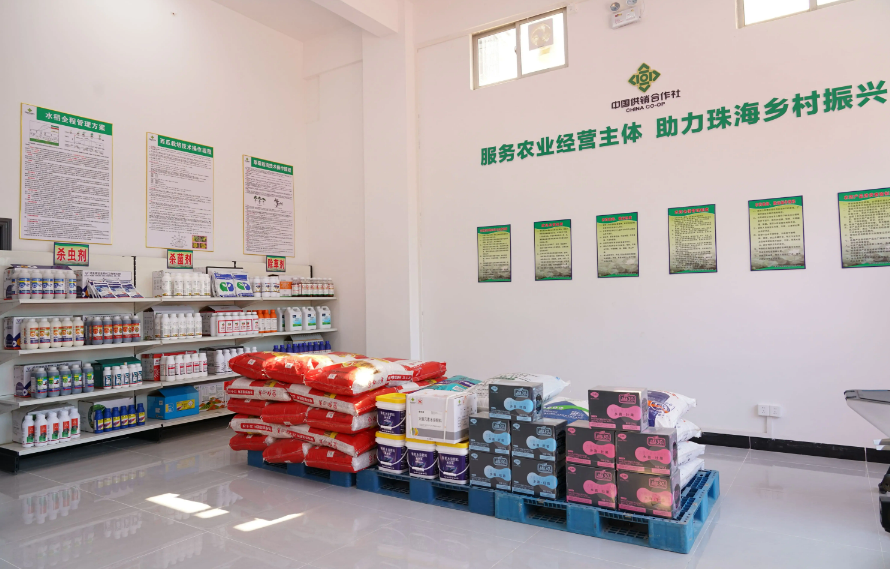 供銷社全面煥新勾勒現(xiàn)代農(nóng)業(yè)服務(wù)體系立體圖景