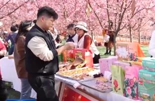 踏青賞花享春光 “春日經(jīng)濟(jì)”活力旺