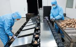 擁抱新“食”代，聚力深加工闖蕩大市場(chǎng)