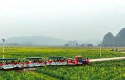 創(chuàng)新服務(wù)激活“春日經(jīng)濟(jì)”一池春水 “賞花+”釋放場(chǎng)景式消費(fèi)新活力