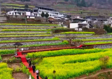 “賞花游”激發(fā)各地文旅市場(chǎng)消費(fèi)熱潮 “春日經(jīng)濟(jì)”綻放新活力