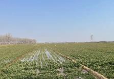 河南封丘：春風(fēng)吹響沖鋒號 揚(yáng)帆奮進(jìn)正當(dāng)時