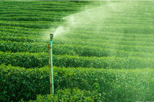 內(nèi)蒙古開(kāi)啟農(nóng)業(yè)節(jié)水“5個(gè)提升”模式