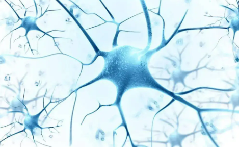 AI賦能 政策護(hù)航 罕見病加速被“看見”診療迎來新機(jī)遇