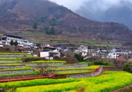 春風吹熱“花經(jīng)濟” 農(nóng)文旅融合為鄉(xiāng)村振興“增色添香”