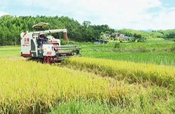 “芯”動力、“硬”裝備！看福建增產(chǎn)20萬噸糧食的創(chuàng)新底氣