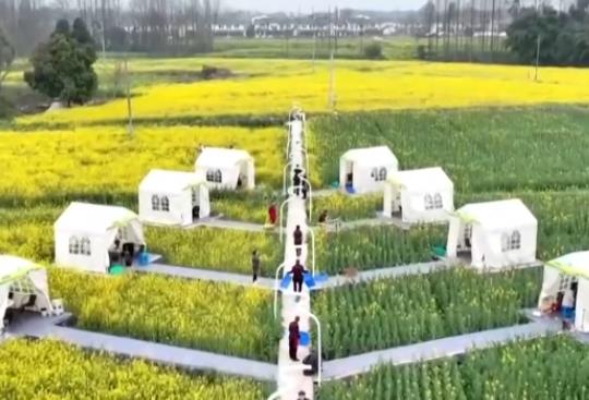 坐飛機(jī)賞花、圍爐煮茶、花田火鍋……花樣新場(chǎng)景釋放消費(fèi)新活力