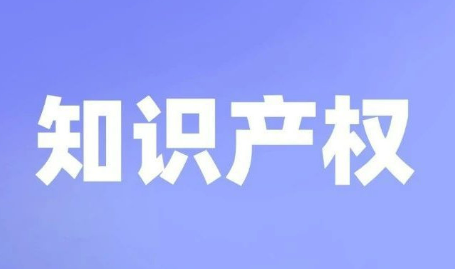 國(guó)家知識(shí)產(chǎn)權(quán)公共服務(wù)平臺(tái)上線