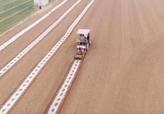 創(chuàng)新種植模式高效利用土地資源 助力農(nóng)戶增收