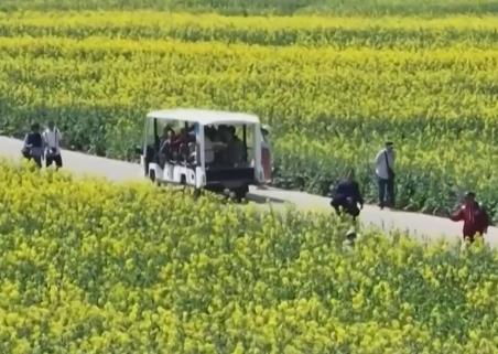 “賞花經(jīng)濟”帶火鄉(xiāng)村文旅消費 “花好常開”讓“流量”變“留量”