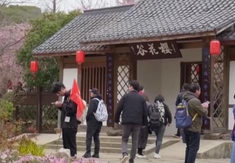 賞花、摘果、運(yùn)動(dòng)、慢游“牽手”春日經(jīng)濟(jì) 釋放消費(fèi)多“彩”活力