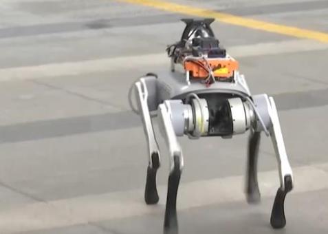 精準操控！機器人技能大升級 具身大模型助力實現(xiàn)多元應(yīng)用