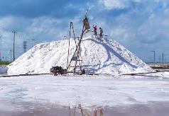 2月份我國原鹽市場偏弱運(yùn)行