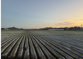 福建泉州：一手“融合牌”，打造良田好風(fēng)光