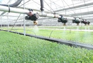 智慧灌溉、水肥一體——看農業(yè)生產中的節(jié)水“妙招”