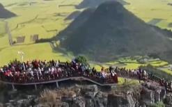 從“春日限定”到“四季長(zhǎng)青” “花”文旅融合為鄉(xiāng)村振興“增色添香”