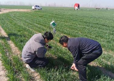 河南：春耕盡顯“科技范兒”“護(hù)航”小麥保豐收