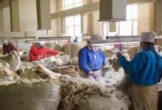 內(nèi)蒙古出臺方案推進羊絨產(chǎn)業(yè)全鏈條升級