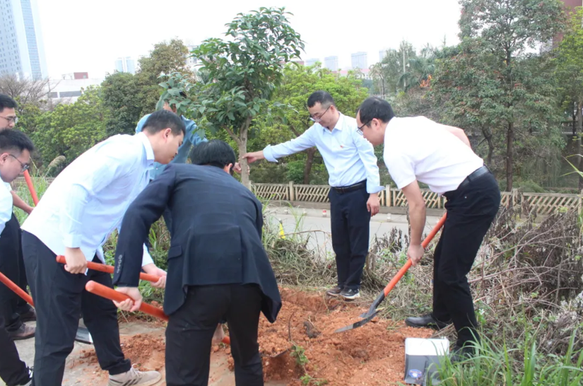 20250328163411915.png 20250328163411915.png