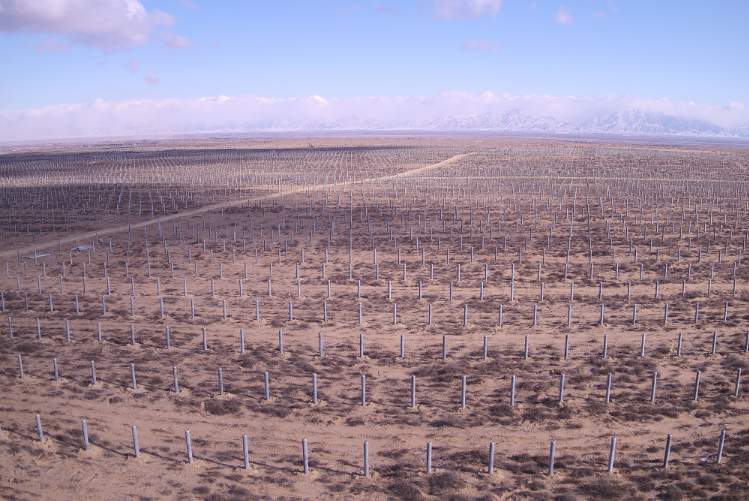 中國節(jié)能光伏治沙項目全面開工 助力三北工程攻堅戰(zhàn)