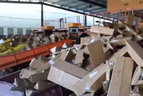 春日鮮花“春運(yùn)”忙：科技助力鮮花運(yùn)輸 “流動(dòng)花園”物流效率提升