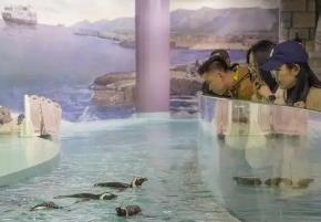 哈爾濱“春日經(jīng)濟(jì)”熱度“續(xù)航” 清明小長(zhǎng)假223．4萬(wàn)人次打卡