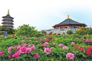 河南文旅春意濃濃人氣旺