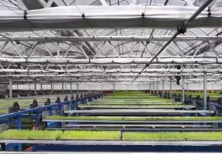 “電梯”育秧、智能噴灌……智慧農(nóng)業(yè)繪就春耕新圖景 科技“護航”保豐收