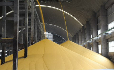 守好“責(zé)任田”！貴州磷化集團(tuán)筑牢糧食安全戰(zhàn)略根基