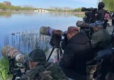 生態(tài)旅游正當(dāng)時(shí) 讀懂“打鳥(niǎo)熱”背后的多重期待