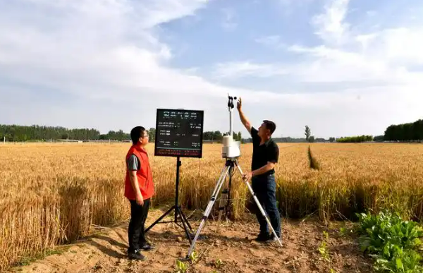 2030年將基本建成新型氣象為農(nóng)服務體系