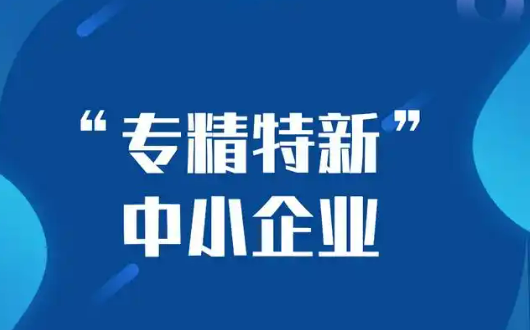陜西開展“千帆百舸”專精特新中小企業(yè)上市培育工作