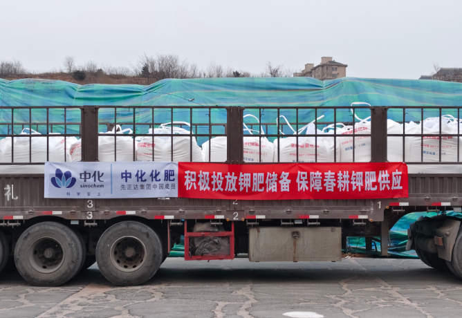 中國(guó)中化全力確保鉀肥量足價(jià)穩(wěn) 為春耕生產(chǎn)保駕護(hù)航