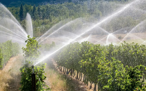 水肥一體化有力支撐提單產(chǎn) 今年應用面積將達1.8億畝