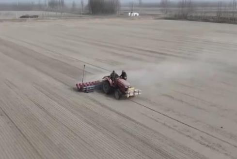 沙漠里種水稻？揭秘塔克拉瑪干邊緣4000畝綠色奇跡