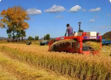 內(nèi)蒙古地理標(biāo)志保護(hù)產(chǎn)品達(dá)到234件