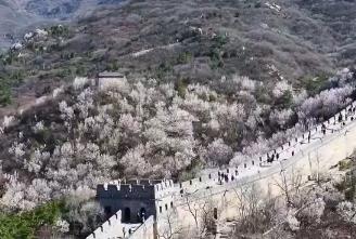 一季度“入境游”“跨境游”成績(jī)亮眼 免簽政策紅利充分釋放