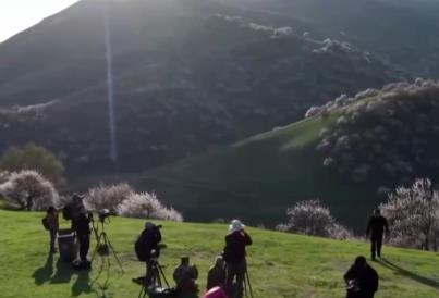 “賞花經(jīng)濟(jì)”持續(xù)釋放消費(fèi)潛力 繪就“花開中國(guó)”的繁榮圖景