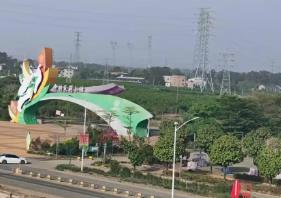 中國茉莉花之鄉(xiāng)鮮花供不應(yīng)求：新式茶飲風(fēng)行，吸引更多年輕人消費(fèi)