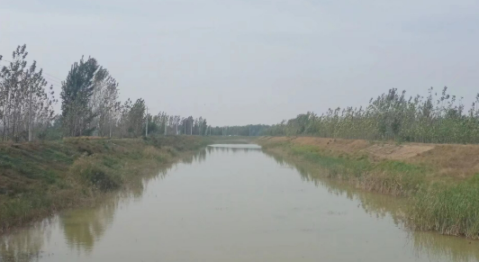 河南省已累計(jì)引黃灌溉7.3億立方米 較去年同期增加2.2億立方米