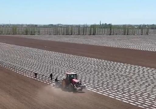數(shù)字賦能春耕沃野生機勃勃 一幅幅“科技春耕圖”在廣袤田野鋪展開