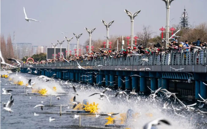 “打卡式”旅游轉(zhuǎn)型深度體驗(yàn)度假，旅居云南，共赴山水之約